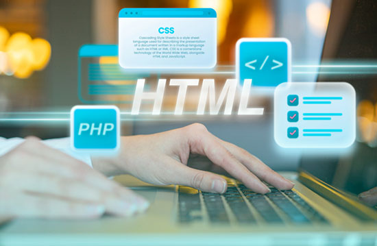 Custom Web Development California